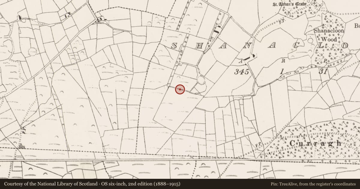 Ordnance Survey six-inch map, 2nd edition (1888–1915) covering the location of Fulacht fia, An Tseanchluain, County Cork, with a pin at the register's coordinates