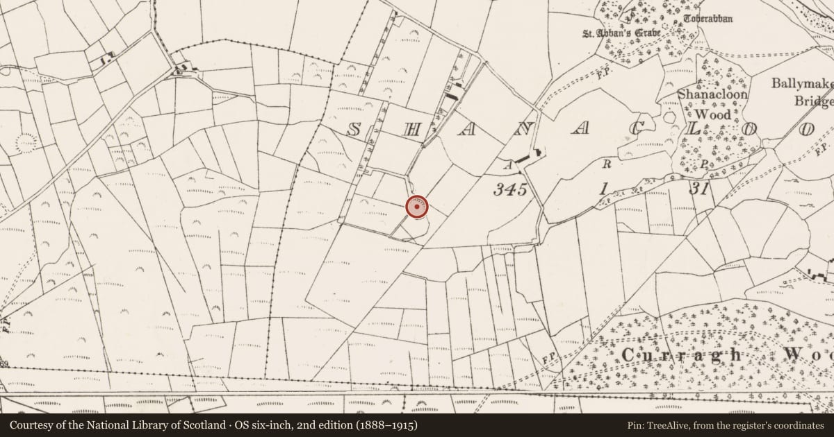 Ordnance Survey six-inch map, 2nd edition (1888–1915) covering the location of Ringfort - rath, An Tseanchluain, County Cork, with a pin at the register's coordinates