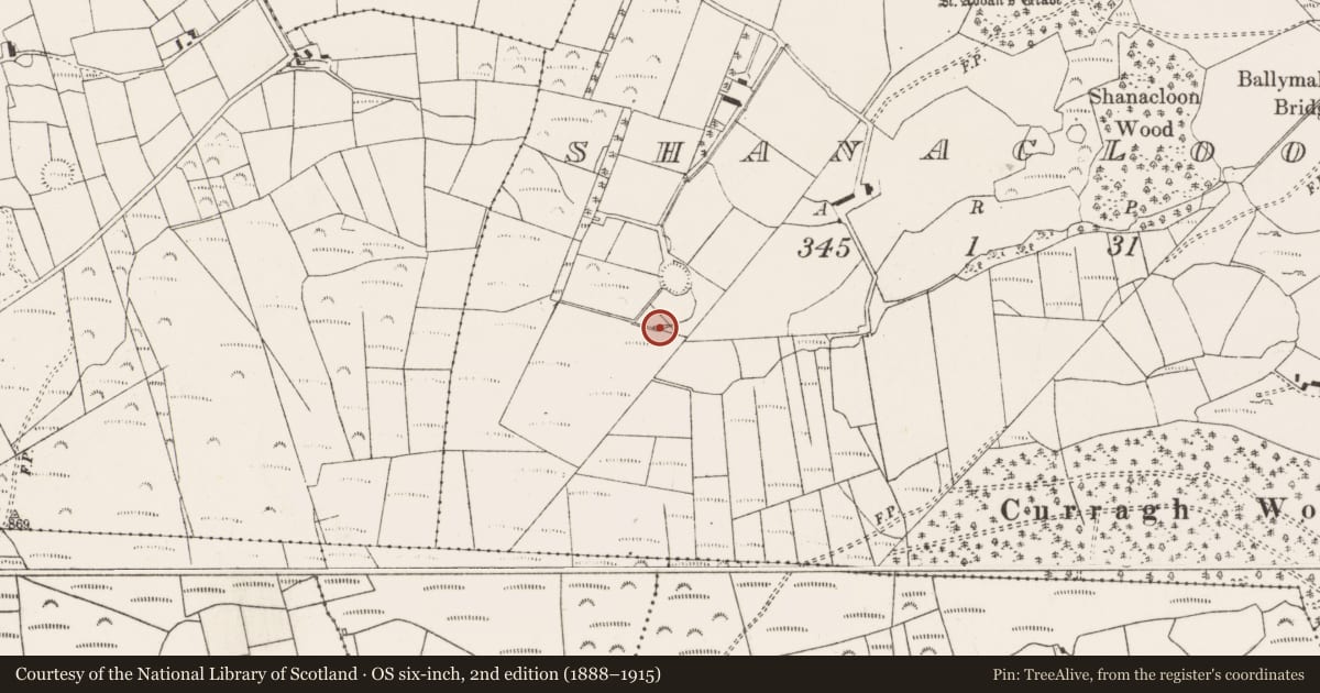 Ordnance Survey six-inch map, 2nd edition (1888–1915) covering the location of Fulacht fia, An Tseanchluain, County Cork, with a pin at the register's coordinates