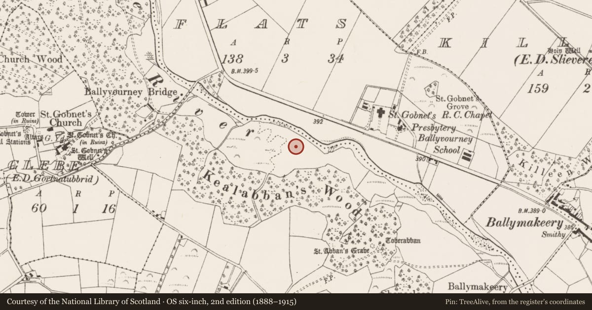 Ordnance Survey six-inch map, 2nd edition (1888–1915) covering the location of Fulacht fia, An Tseanchluain, County Cork, with a pin at the register's coordinates