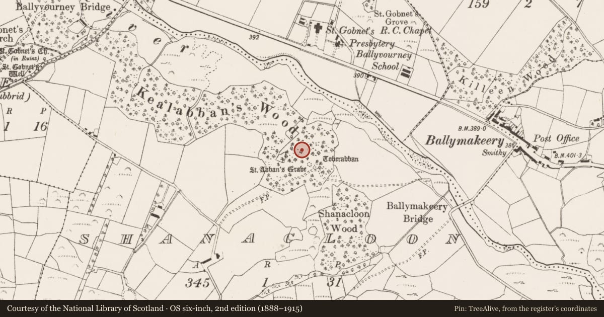 Ordnance Survey six-inch map, 2nd edition (1888–1915) covering the location of Ogham stone, An Tseanchluain, County Cork, with a pin at the register's coordinates
