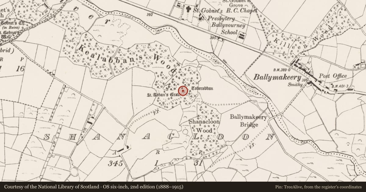 Ordnance Survey six-inch map, 2nd edition (1888–1915) covering the location of Cairn - unclassified, An Tseanchluain, County Cork, with a pin at the register's coordinates