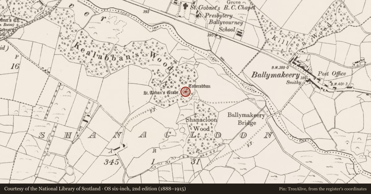 Ordnance Survey six-inch map, 2nd edition (1888–1915) covering the location of Bullaun stone, An Tseanchluain, County Cork, with a pin at the register's coordinates