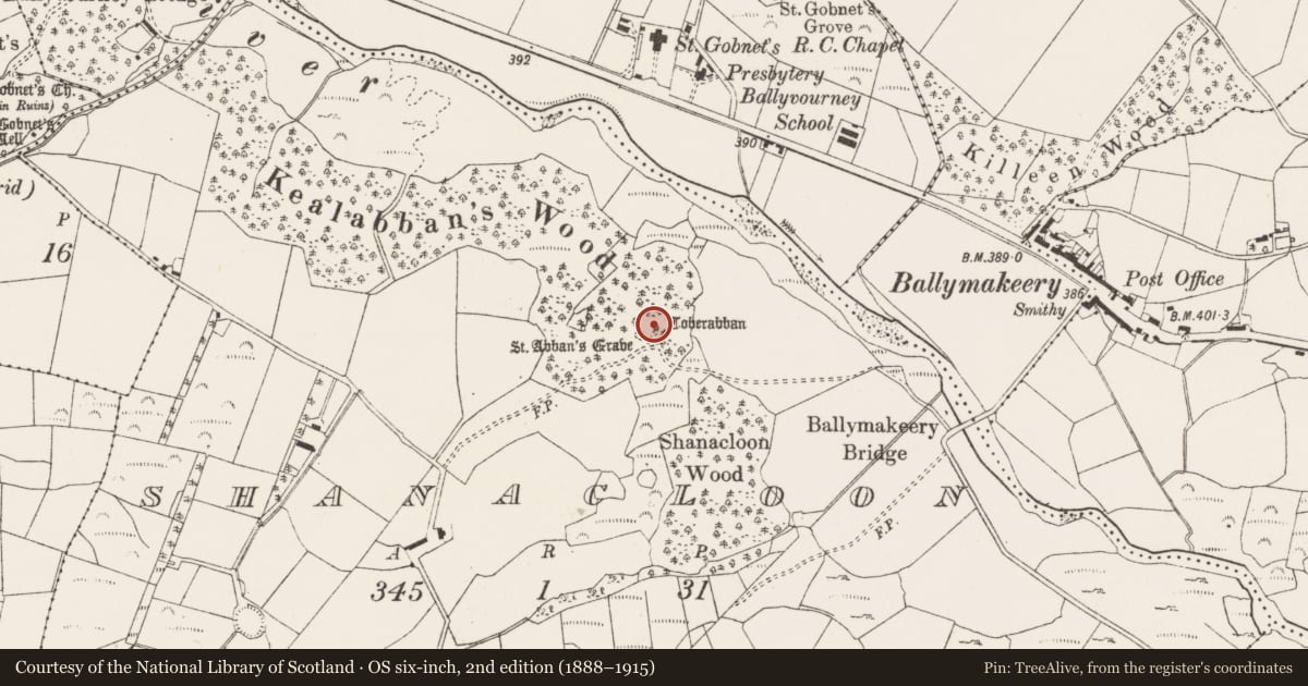 Ordnance Survey six-inch map, 2nd edition (1888–1915) covering the location of Ritual site - holy well, An Tseanchluain, County Cork, with a pin at the register's coordinates