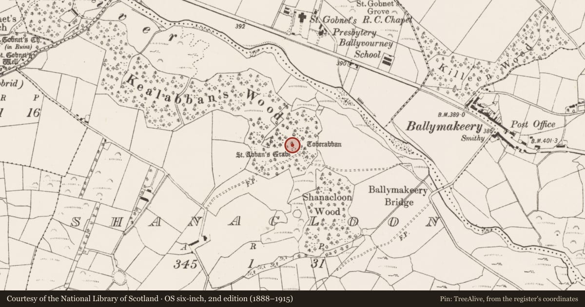Ordnance Survey six-inch map, 2nd edition (1888–1915) covering the location of Ogham stone, An Tseanchluain, County Cork, with a pin at the register's coordinates