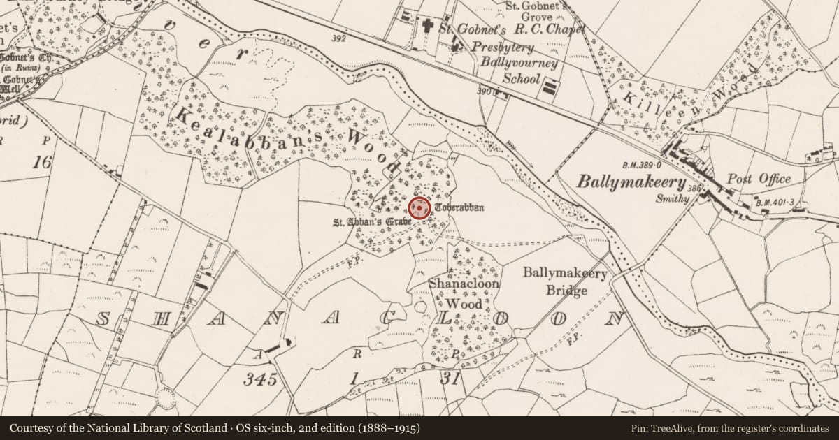 Ordnance Survey six-inch map, 2nd edition (1888–1915) covering the location of Ogham stone, An Tseanchluain, County Cork, with a pin at the register's coordinates