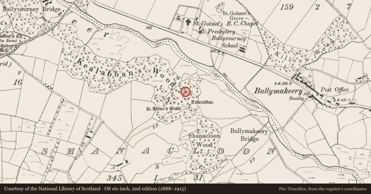 Ordnance Survey six-inch map, 2nd edition (1888–1915) covering the location of Penitential station, An Tseanchluain, County Cork, with a pin at the register's coordinates
