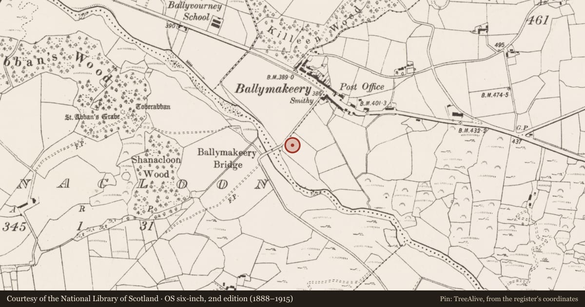 Ordnance Survey six-inch map, 2nd edition (1888–1915) covering the location of Standing stone, Baile Mhic Íre, County Cork, with a pin at the register's coordinates