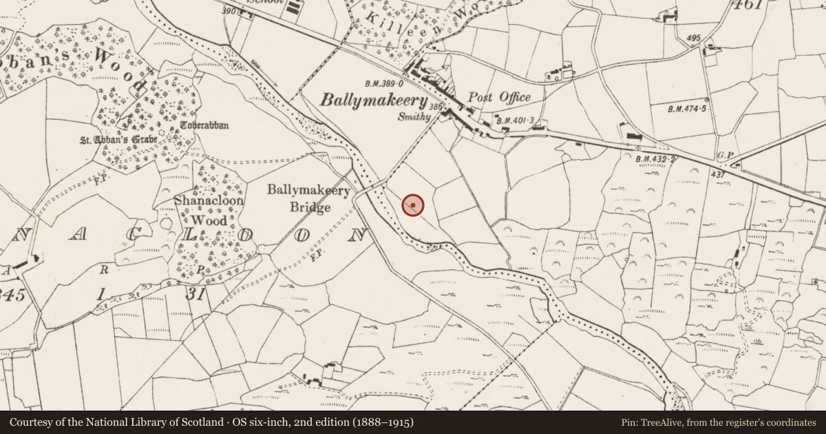 Ordnance Survey six-inch map, 2nd edition (1888–1915) covering the location of Standing stone, Baile Mhic Íre, County Cork, with a pin at the register's coordinates