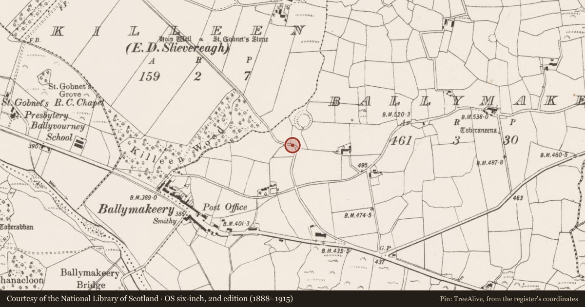 Ordnance Survey six-inch map, 2nd edition (1888–1915) covering the location of Bullaun stone, Baile Mhic Íre, County Cork, with a pin at the register's coordinates