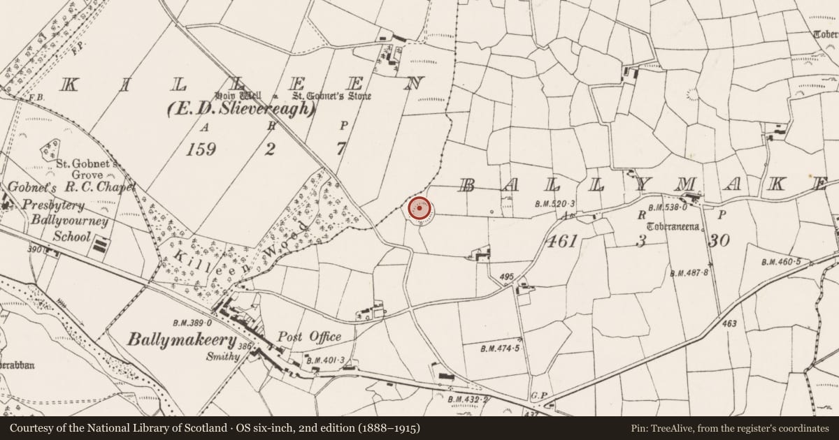 Ordnance Survey six-inch map, 2nd edition (1888–1915) covering the location of Ringfort - rath, Baile Mhic Íre, County Cork, with a pin at the register's coordinates