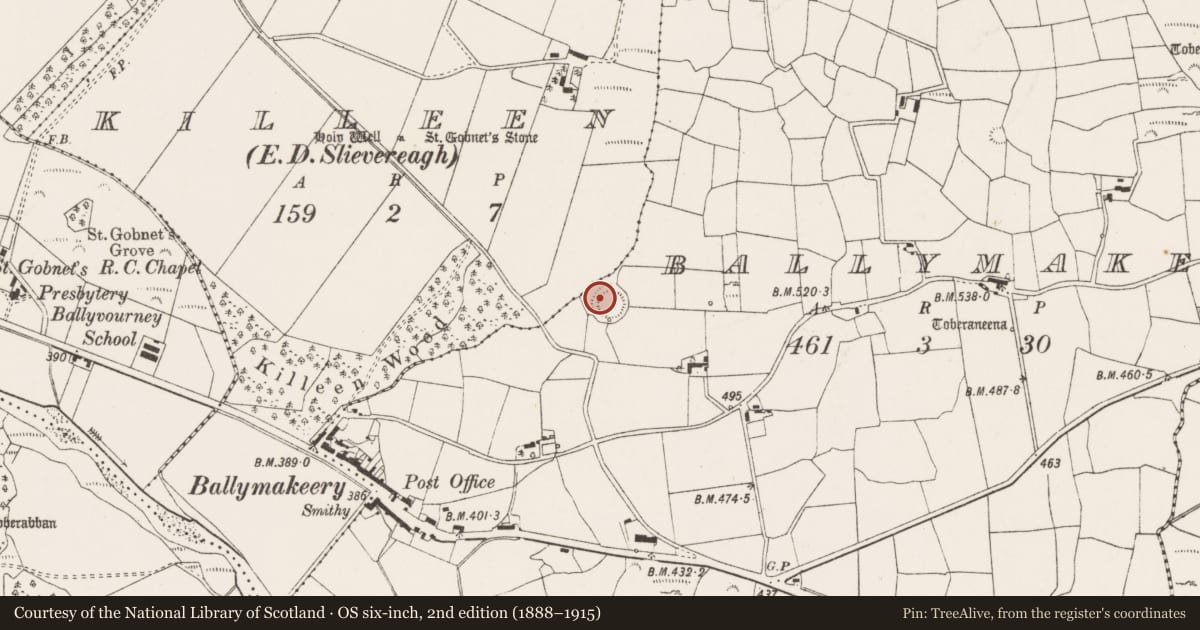 Ordnance Survey six-inch map, 2nd edition (1888–1915) covering the location of Souterrain, Baile Mhic Íre, County Cork, with a pin at the register's coordinates
