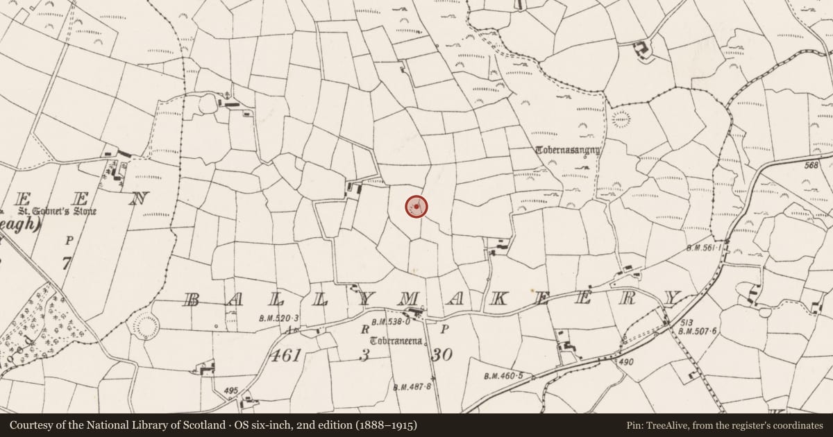 Ordnance Survey six-inch map, 2nd edition (1888–1915) covering the location of Ringfort - rath, Baile Mhic Íre, County Cork, with a pin at the register's coordinates