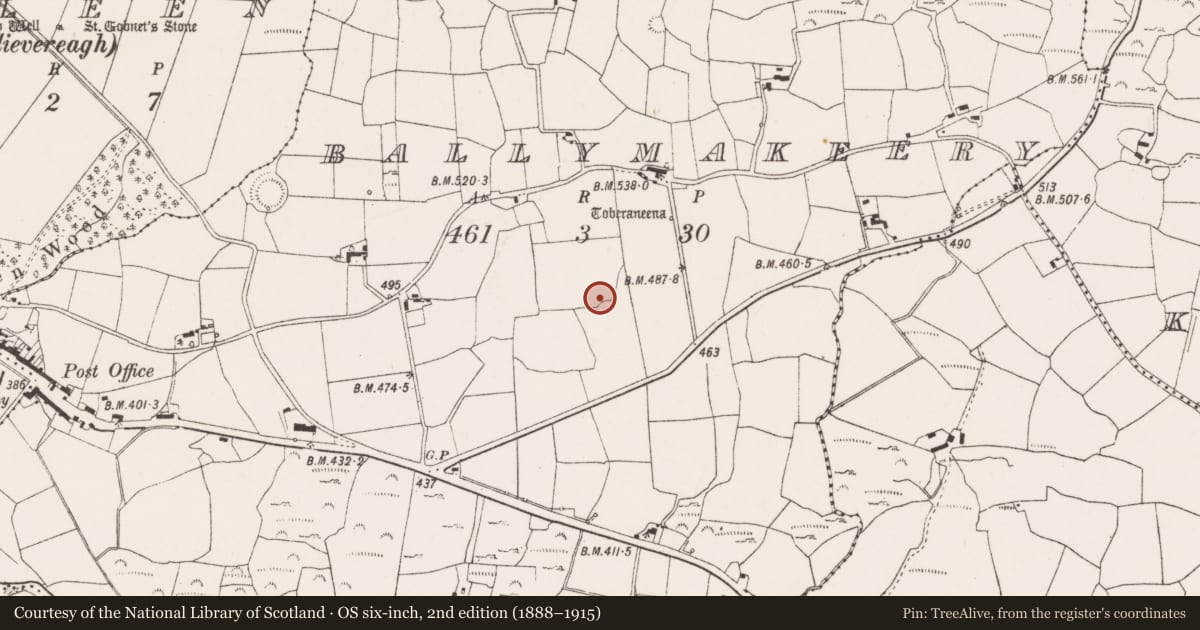 Ordnance Survey six-inch map, 2nd edition (1888–1915) covering the location of Ringfort - rath, Baile Mhic Íre, County Cork, with a pin at the register's coordinates