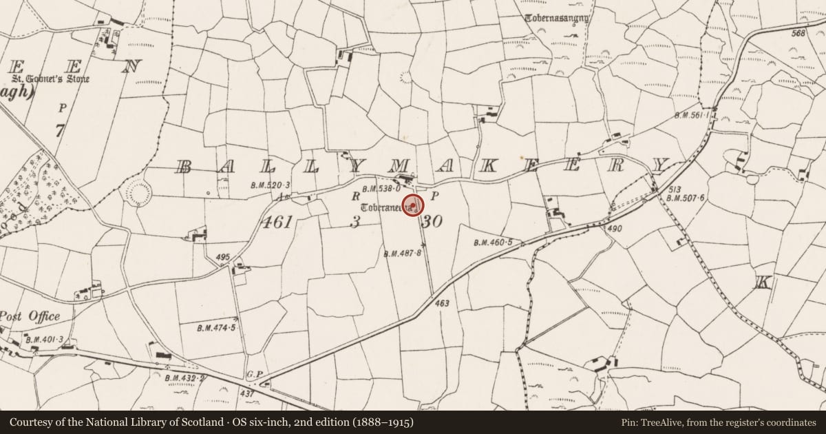 Ordnance Survey six-inch map, 2nd edition (1888–1915) covering the location of Ritual site - holy well, Baile Mhic Íre, County Cork, with a pin at the register's coordinates