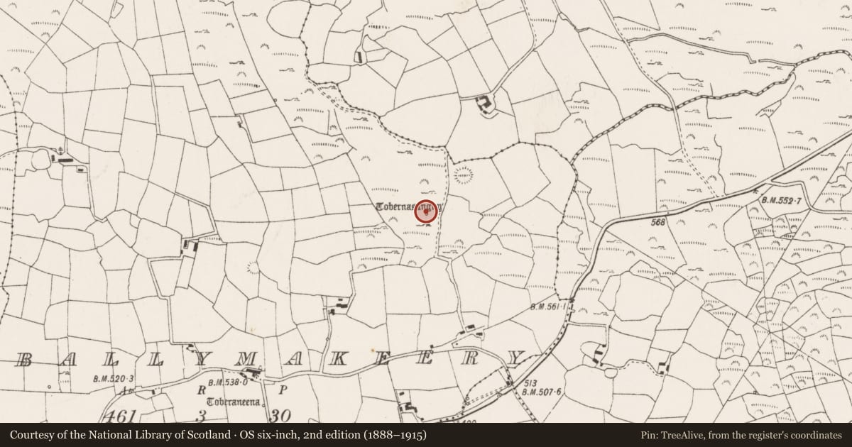 Ordnance Survey six-inch map, 2nd edition (1888–1915) covering the location of Ritual site - holy well, Baile Mhic Íre, County Cork, with a pin at the register's coordinates