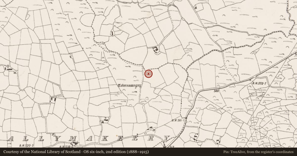 Ordnance Survey six-inch map, 2nd edition (1888–1915) covering the location of Ringfort - cashel, Baile Mhic Íre, County Cork, with a pin at the register's coordinates