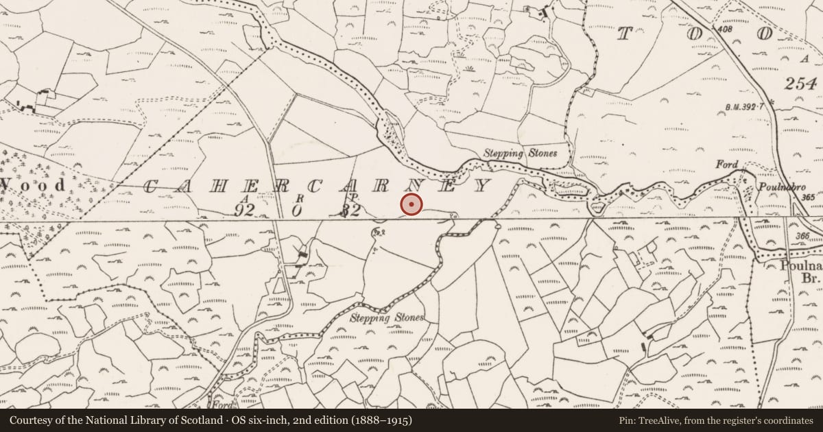 Ordnance Survey six-inch map, 2nd edition (1888–1915) covering the location of Ringfort - rath, Cathair Chearnaigh, County Cork, with a pin at the register's coordinates