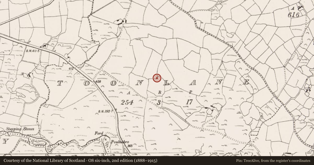 Ordnance Survey six-inch map, 2nd edition (1888–1915) covering the location of Souterrain, Tonn Láin, County Cork, with a pin at the register's coordinates