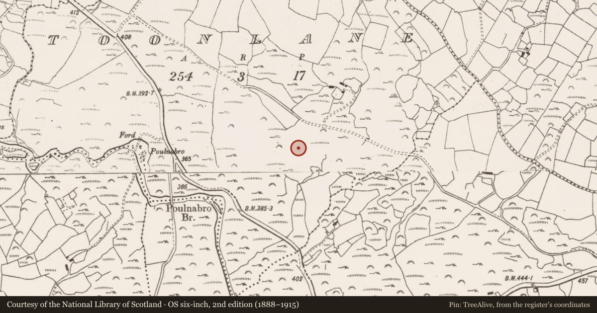 Ordnance Survey six-inch map, 2nd edition (1888–1915) covering the location of Fulacht fia, Tonn Láin, County Cork, with a pin at the register's coordinates