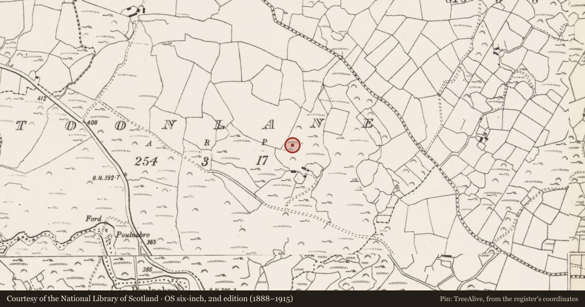 Ordnance Survey six-inch map, 2nd edition (1888–1915) covering the location of Fulacht fia, Tonn Láin, County Cork, with a pin at the register's coordinates