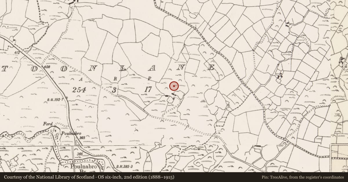Ordnance Survey six-inch map, 2nd edition (1888–1915) covering the location of Fulacht fia, Tonn Láin, County Cork, with a pin at the register's coordinates