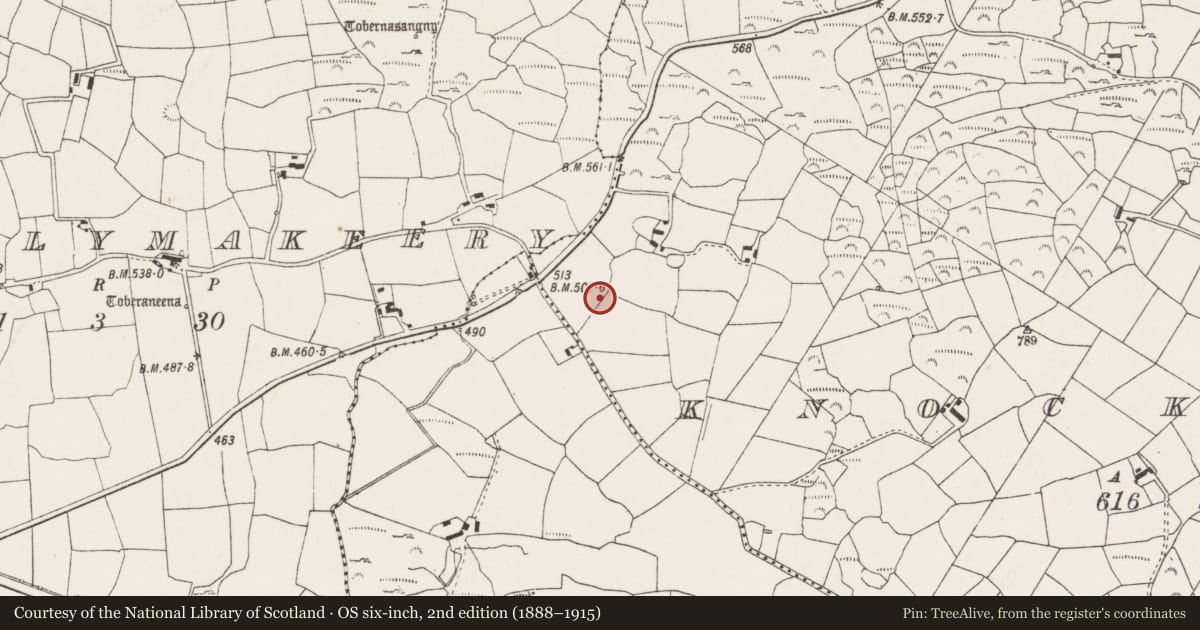 Ordnance Survey six-inch map, 2nd edition (1888–1915) covering the location of Ringfort - rath, Cnoc An Iúir, County Cork, with a pin at the register's coordinates