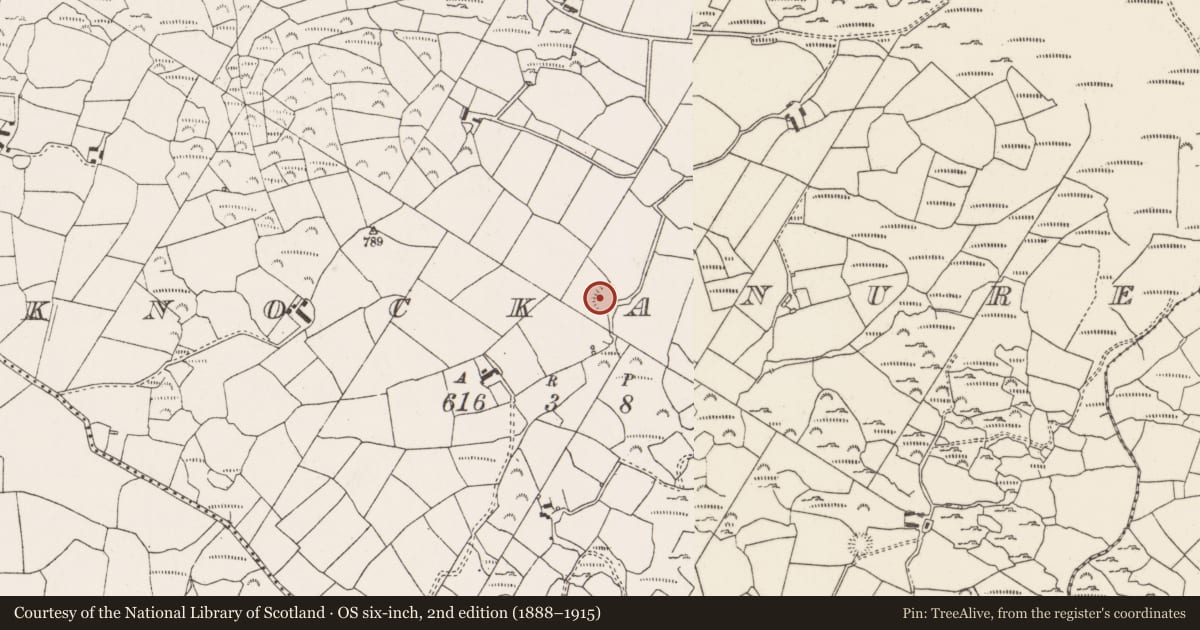 Ordnance Survey six-inch map, 2nd edition (1888–1915) covering the location of Ringfort - rath, Cnoc An Iúir, County Cork, with a pin at the register's coordinates