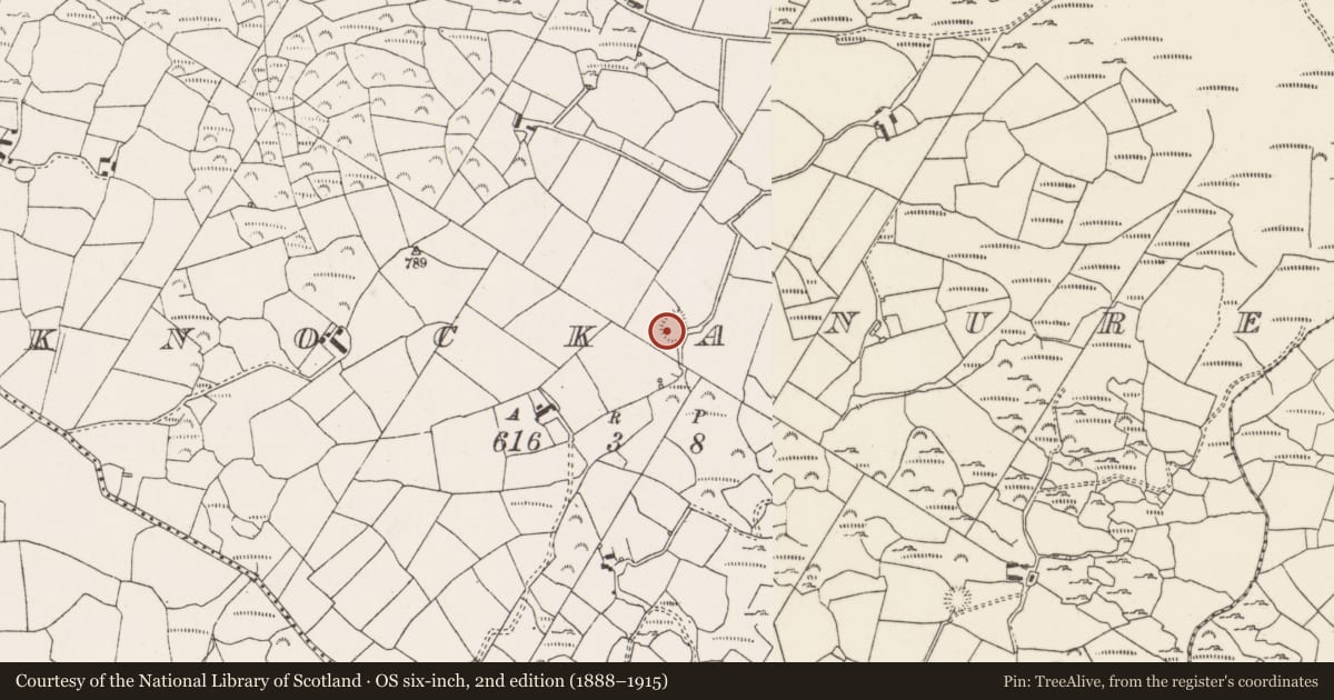 Ordnance Survey six-inch map, 2nd edition (1888–1915) covering the location of Souterrain, Cnoc An Iúir, County Cork, with a pin at the register's coordinates