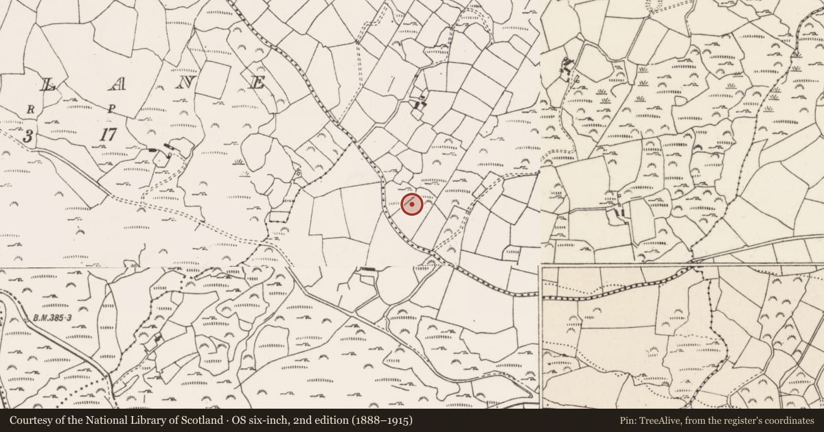 Ordnance Survey six-inch map, 2nd edition (1888–1915) covering the location of Standing stone, Cnoc An Iúir, County Cork, with a pin at the register's coordinates