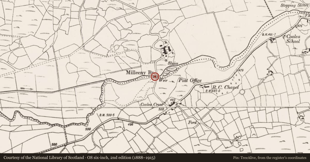 Ordnance Survey six-inch map, 2nd edition (1888–1915) covering the location of Bridge, Cúil Aodha, Na Millíní, County Cork, with a pin at the register's coordinates