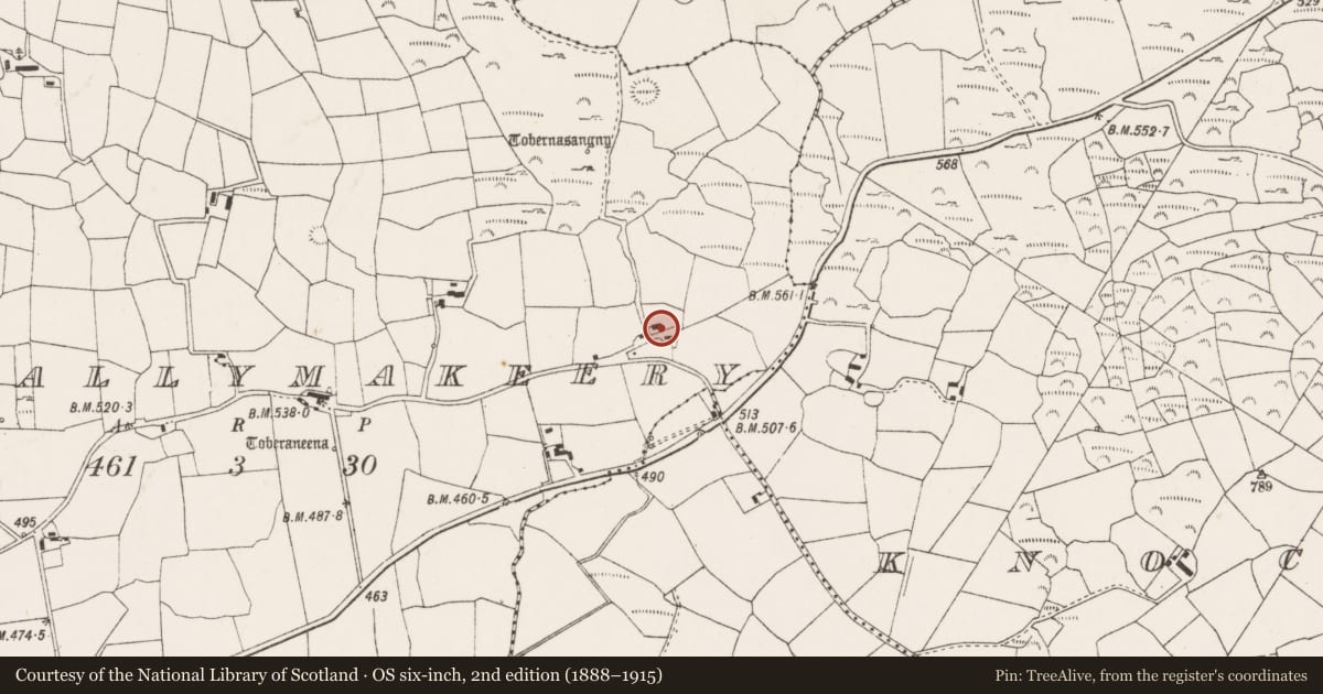Ordnance Survey six-inch map, 2nd edition (1888–1915) covering the location of Church, Baile Mhic Íre, County Cork, with a pin at the register's coordinates
