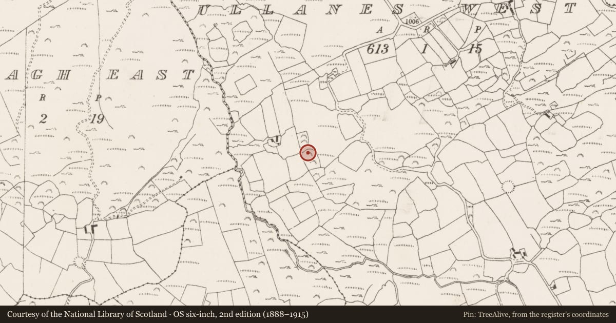 Ordnance Survey six-inch map, 2nd edition (1888–1915) covering the location of Souterrain, Na Huláin Thiar, County Cork, with a pin at the register's coordinates