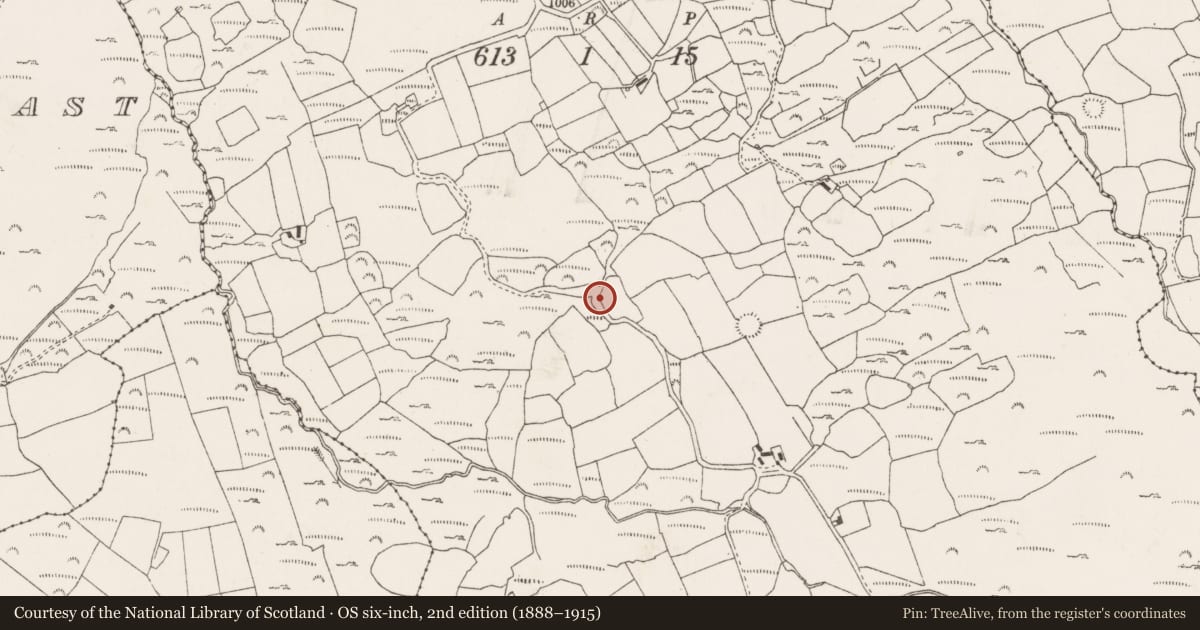 Ordnance Survey six-inch map, 2nd edition (1888–1915) covering the location of Cairn - unclassified, Na Huláin Thiar, County Cork, with a pin at the register's coordinates