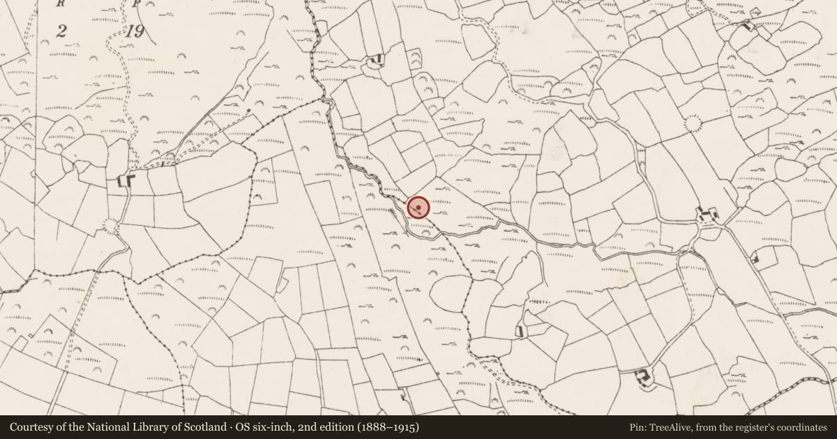 Ordnance Survey six-inch map, 2nd edition (1888–1915) covering the location of Fulacht fia, Na Huláin Thiar, County Cork, with a pin at the register's coordinates