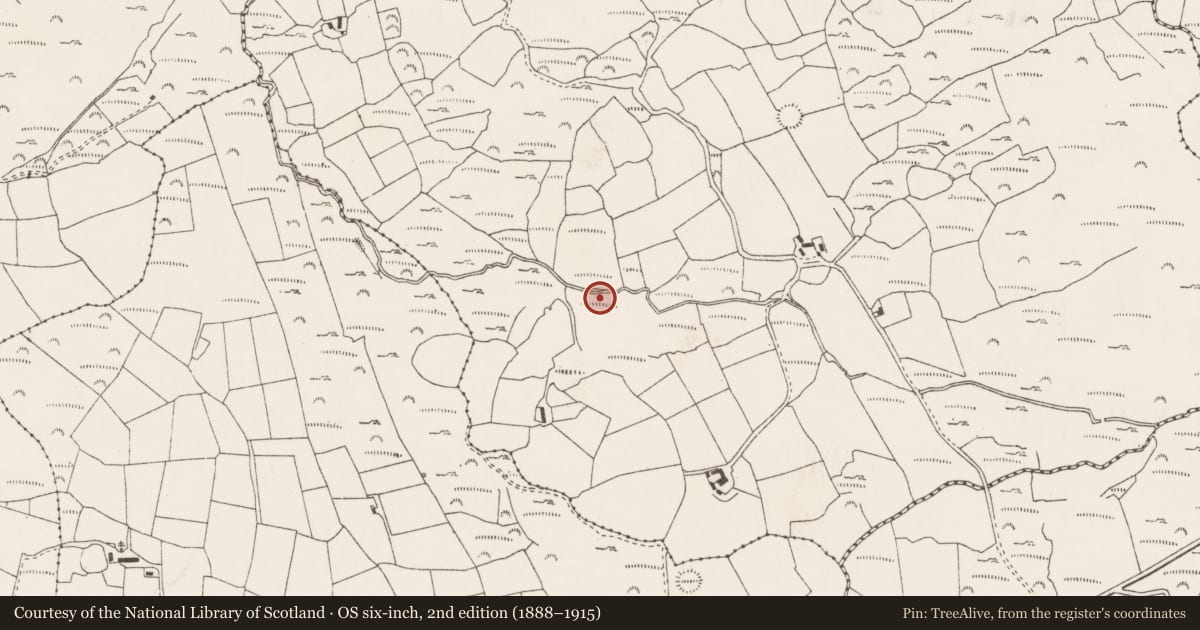 Ordnance Survey six-inch map, 2nd edition (1888–1915) covering the location of Fulacht fia, Na Huláin Thiar, County Cork, with a pin at the register's coordinates