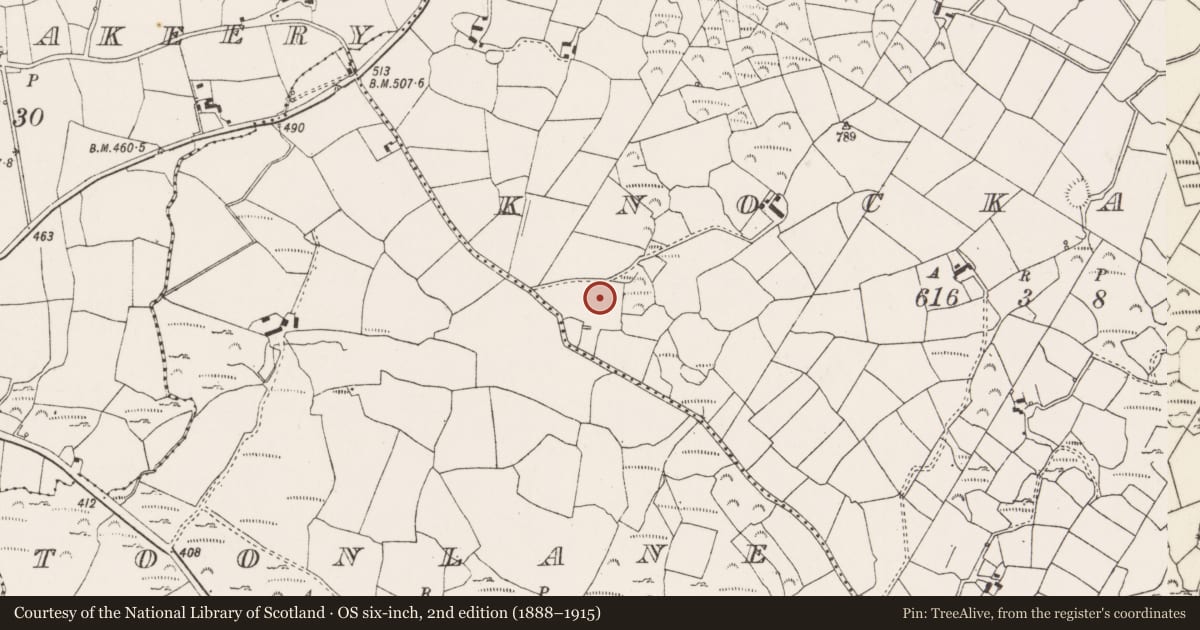 Ordnance Survey six-inch map, 2nd edition (1888–1915) covering the location of Standing stone, Cnoc An Iúir, County Cork, with a pin at the register's coordinates