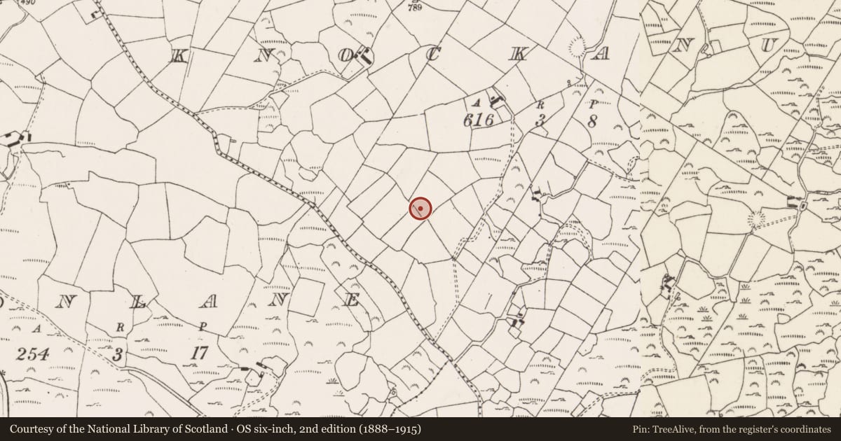 Ordnance Survey six-inch map, 2nd edition (1888–1915) covering the location of Earthwork, Cnoc An Iúir, County Cork, with a pin at the register's coordinates