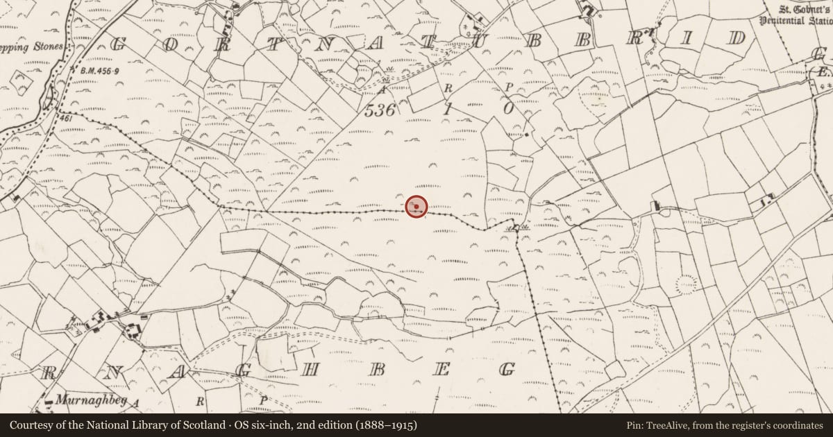 Ordnance Survey six-inch map, 2nd edition (1888–1915) covering the location of Standing stone, Gort Na Tiobratan, County Cork, with a pin at the register's coordinates