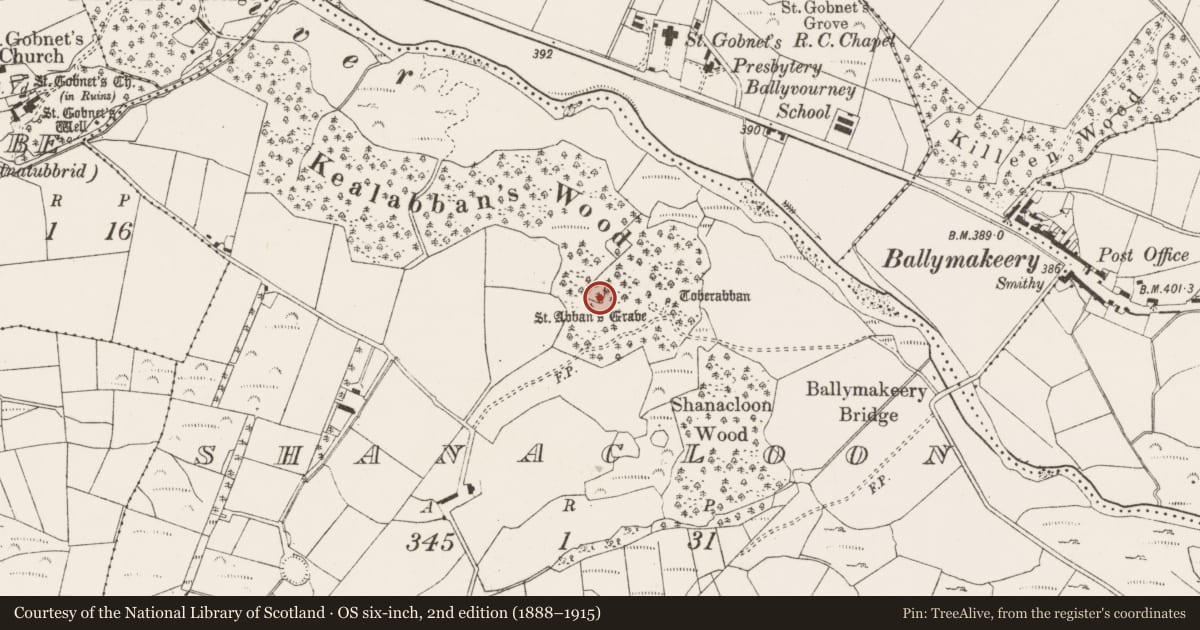 Ordnance Survey six-inch map, 2nd edition (1888–1915) covering the location of Bullaun stone, An Tseanchluain, County Cork, with a pin at the register's coordinates