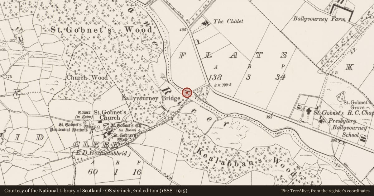 Ordnance Survey six-inch map, 2nd edition (1888–1915) covering the location of Bridge, County Cork, with a pin at the register's coordinates