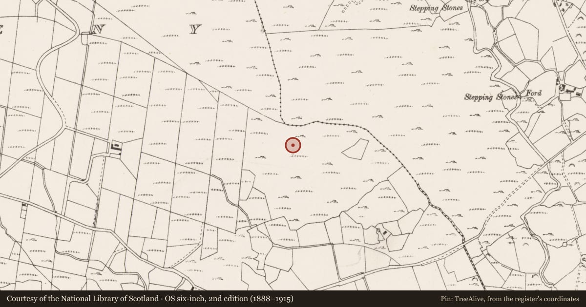Ordnance Survey six-inch map, 2nd edition (1888–1915) covering the location of Cultivation ridges, Na Millíní, County Cork, with a pin at the register's coordinates