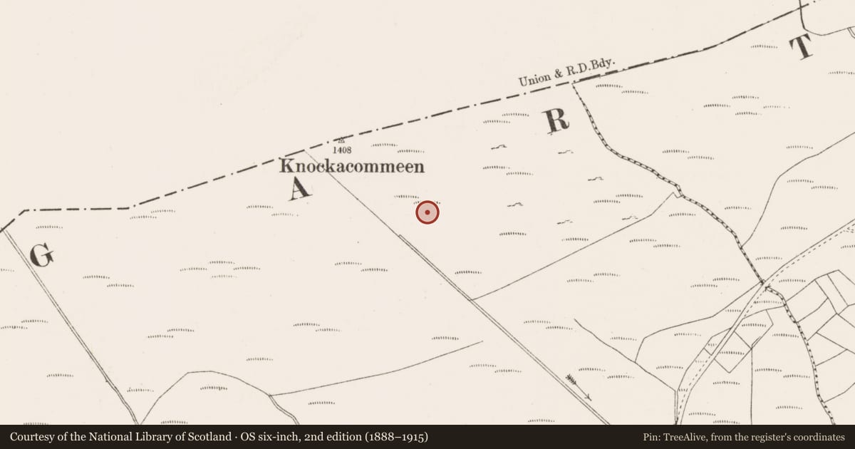 Ordnance Survey six-inch map, 2nd edition (1888–1915) covering the location of Megalithic tomb - wedge tomb, Doire Na Sagart, County Cork, with a pin at the register's coordinates