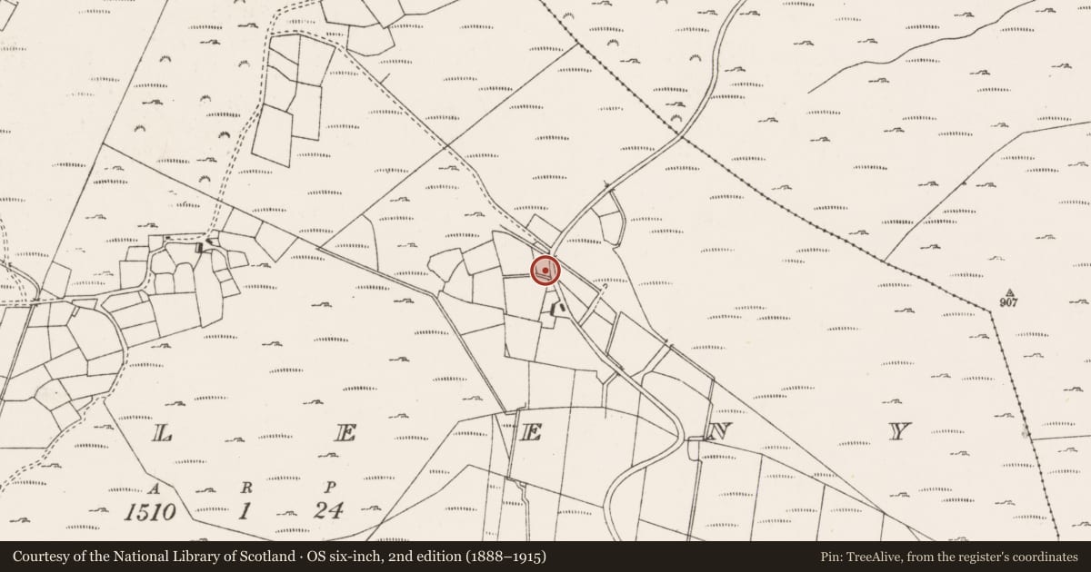 Ordnance Survey six-inch map, 2nd edition (1888–1915) covering the location of Standing stone, Na Millíní, County Cork, with a pin at the register's coordinates