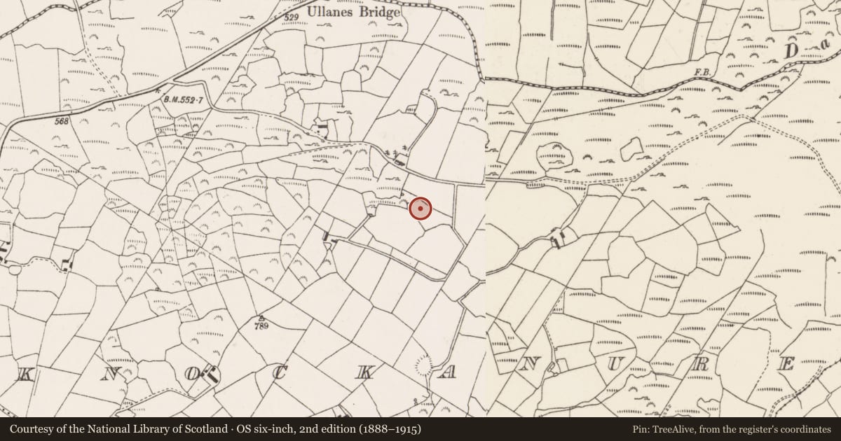 Ordnance Survey six-inch map, 2nd edition (1888–1915) covering the location of Bullaun stone, Cnoc An Iúir, County Cork, with a pin at the register's coordinates