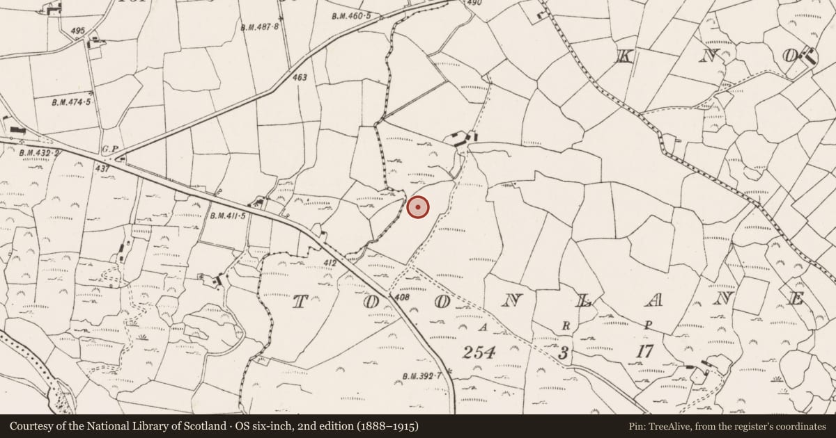 Ordnance Survey six-inch map, 2nd edition (1888–1915) covering the location of Burnt mound, Tonn Láin, County Cork, with a pin at the register's coordinates