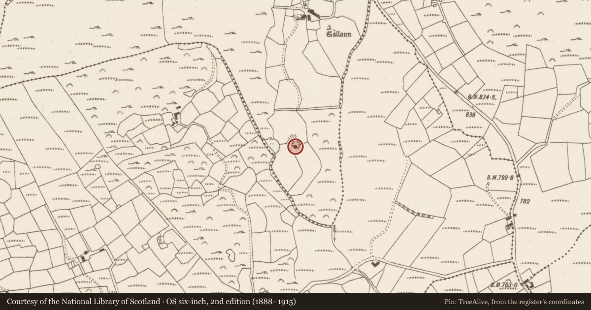 Ordnance Survey six-inch map, 2nd edition (1888–1915) covering the location of Souterrain, Gleann Daimh, County Cork, with a pin at the register's coordinates