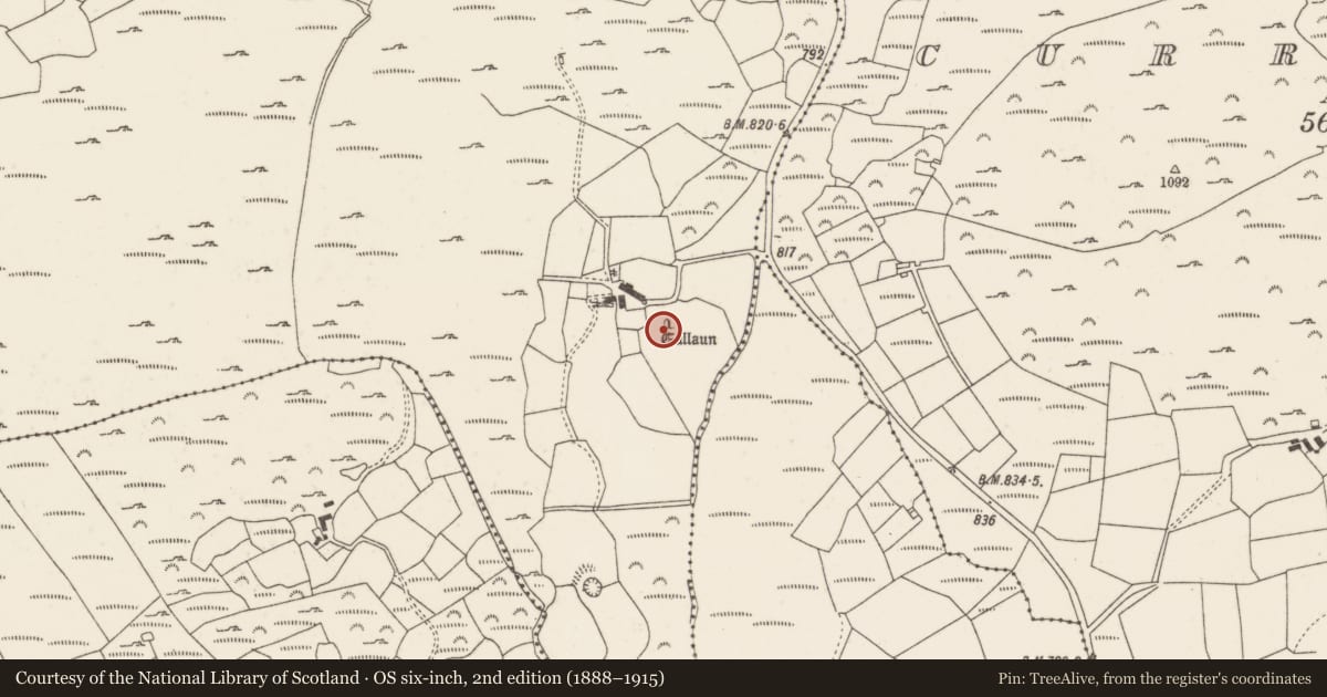Ordnance Survey six-inch map, 2nd edition (1888–1915) covering the location of Standing stone, Gleann Daimh, County Cork, with a pin at the register's coordinates