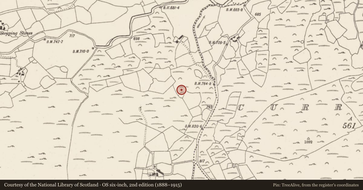 Ordnance Survey six-inch map, 2nd edition (1888–1915) covering the location of Ringfort - rath, Gleann Daimh, County Cork, with a pin at the register's coordinates