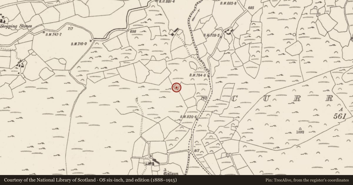 Ordnance Survey six-inch map, 2nd edition (1888–1915) covering the location of Kiln - corn-drying, Gleann Daimh, County Cork, with a pin at the register's coordinates
